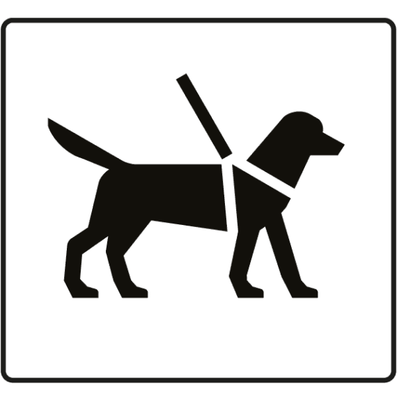 Pictogramme Chien d'Aveugle - Gamme Impact