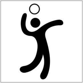 Pictogramme Volley-ball - Gamme Sport